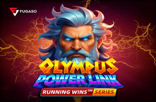 Olympus Power Link